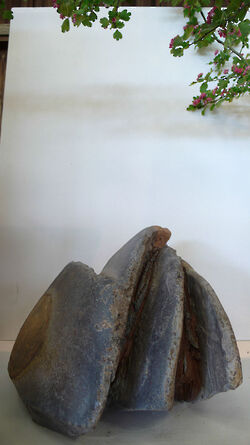 2010 foiredespotiers 4X4-bussiere-2010-16