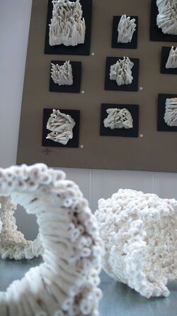 2010 foiredespotiers 4X4-bussiere-2010-5