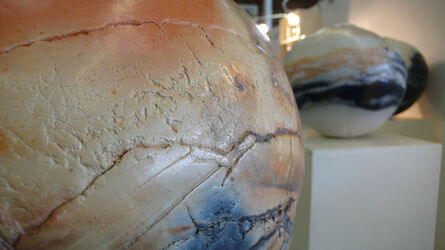 2013 foiredespotiers 4X4-bussiere-2013-10