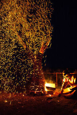 2017 foiredespotiers 4X4-bussiere-2017-36