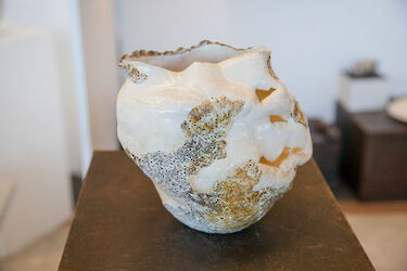 2017 foiredespotiers 4X4-bussiere-2017-5