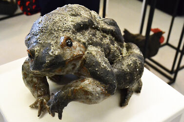 2023 foiredespotiers 4X4-bussiere-2023-DSC_1618