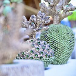 2023 foiredespotiers 4X4-bussiere-23-Monnin-(2)