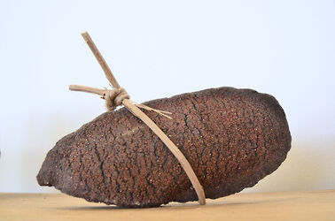 2023 foiredespotiers 4X4-bussiere-23-Verneau-(2)