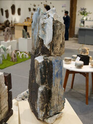 2026 foire potiers