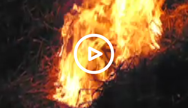 Marché Bussière-Badil 2008